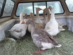 John Metzer of Metzer Farms