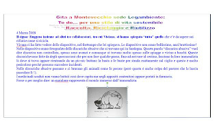 Il Testo Informativo Per La Scuola Primaria