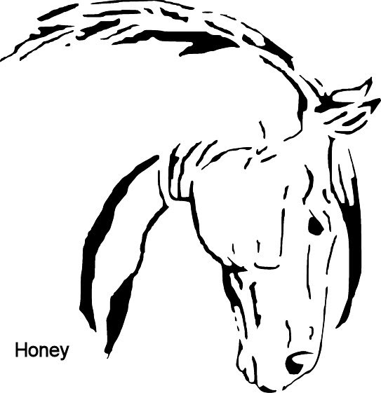 Honey's Free Scroll Saw Patterns Horse Head Free Scrolling Pattern