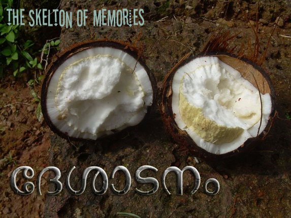 ദേശാടനം.......