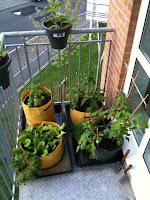 the elevated agriculture balcony garden