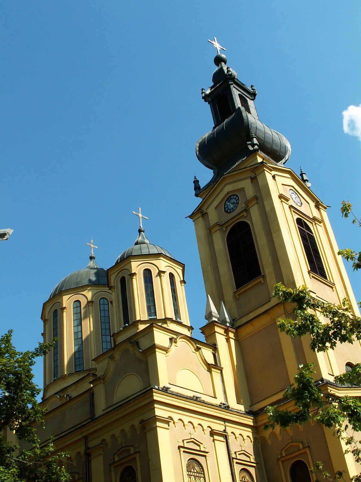[PICT0081.JPG]