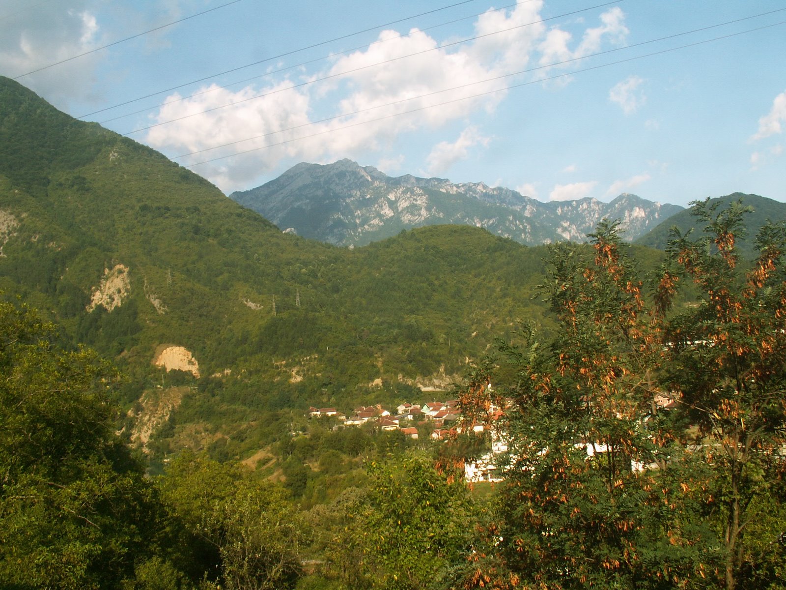 [PICT0405.JPG]