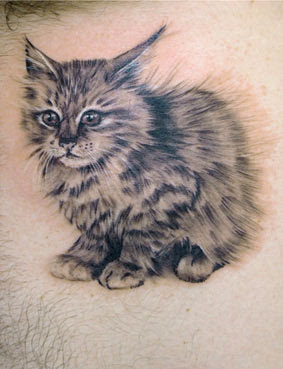 Beautiful Kitty Cat Tattoo