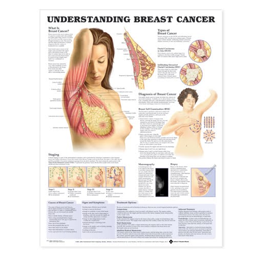 images of breast during pregnancy. images of reast during