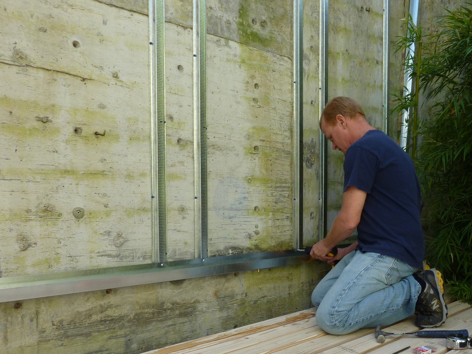Large Succulent Wall Installation