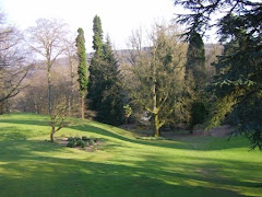 SHADOWS IN THE GREEN