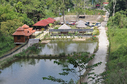 Pandangan Keseluruhan - 18 April 2009