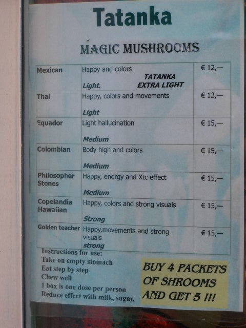 [mushrooms.JPG]