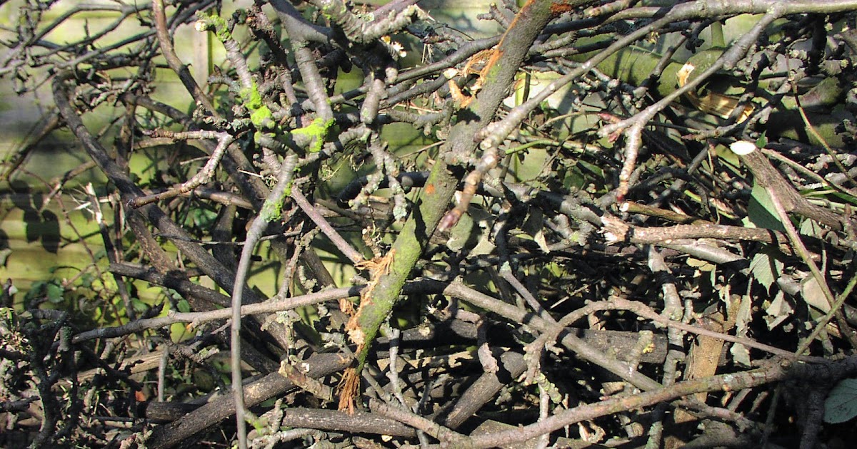 A bad witch's blog Magical uses for apple wood