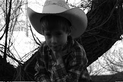 My Little Cowboy