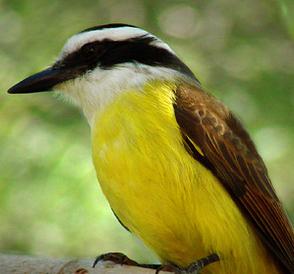 Mama Existen Los Fantasmas Mi Casa Embrujada Wattpad