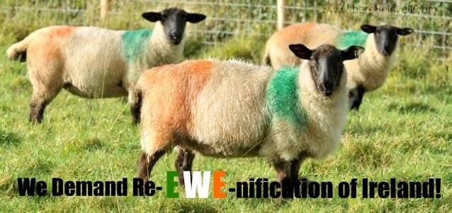 sectarian sheep attack in tyrone, 32 county, re-unification, dissident republicans, northern Ireland