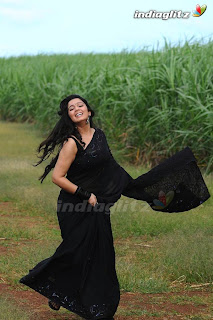 Actress Charmi in Black Saree Pictures