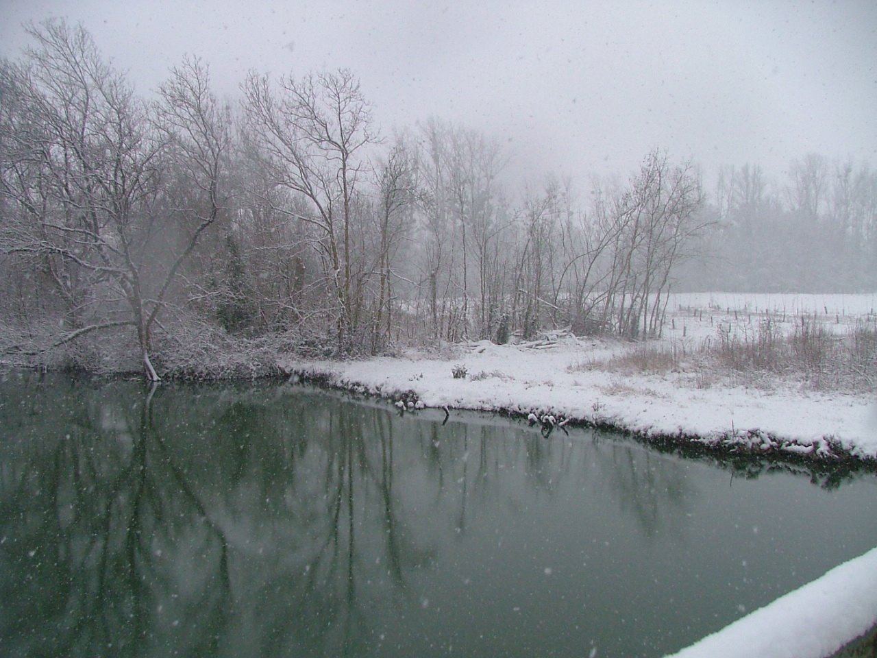 [DSCF2267.JPG]