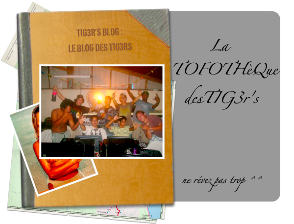 La Tofothèque des TIG3r's