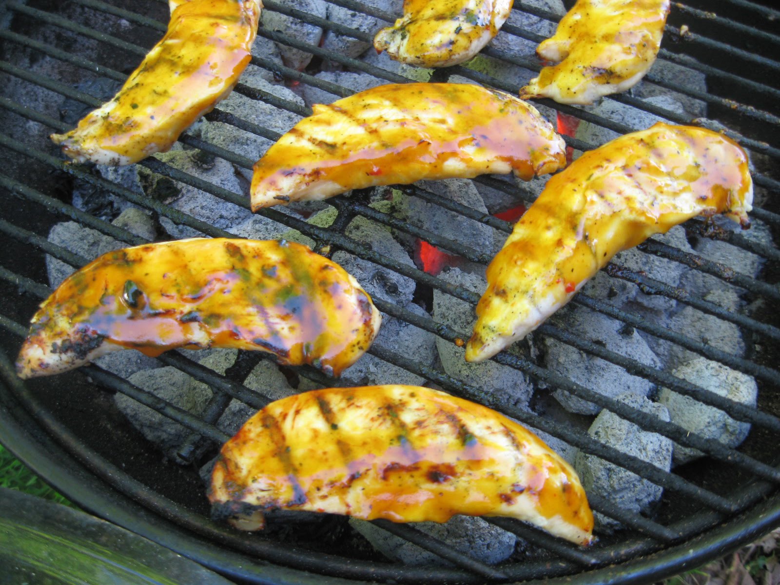 Barbecue Master Sam Dog Yellow Barbecue Sauce on Boneless Chicken