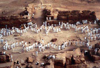 [EgyStarryProc32.jpg]