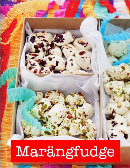 sara begner recept