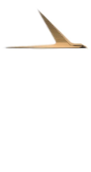 FORD FALCON LOGO ford falcon logo: