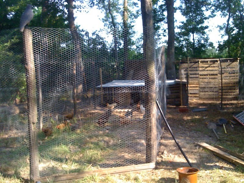 Building Chicken Coops in Hammond OUR SCHOOL AT BLAIR GROCERY
