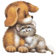 [puppy+kitten+cuddling.gif]