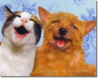 El que postea ultimo GANA - Página 8 Perro+dog+gato+cat+feliz+alegr%C3%ADa+sonrisa+funny+cute