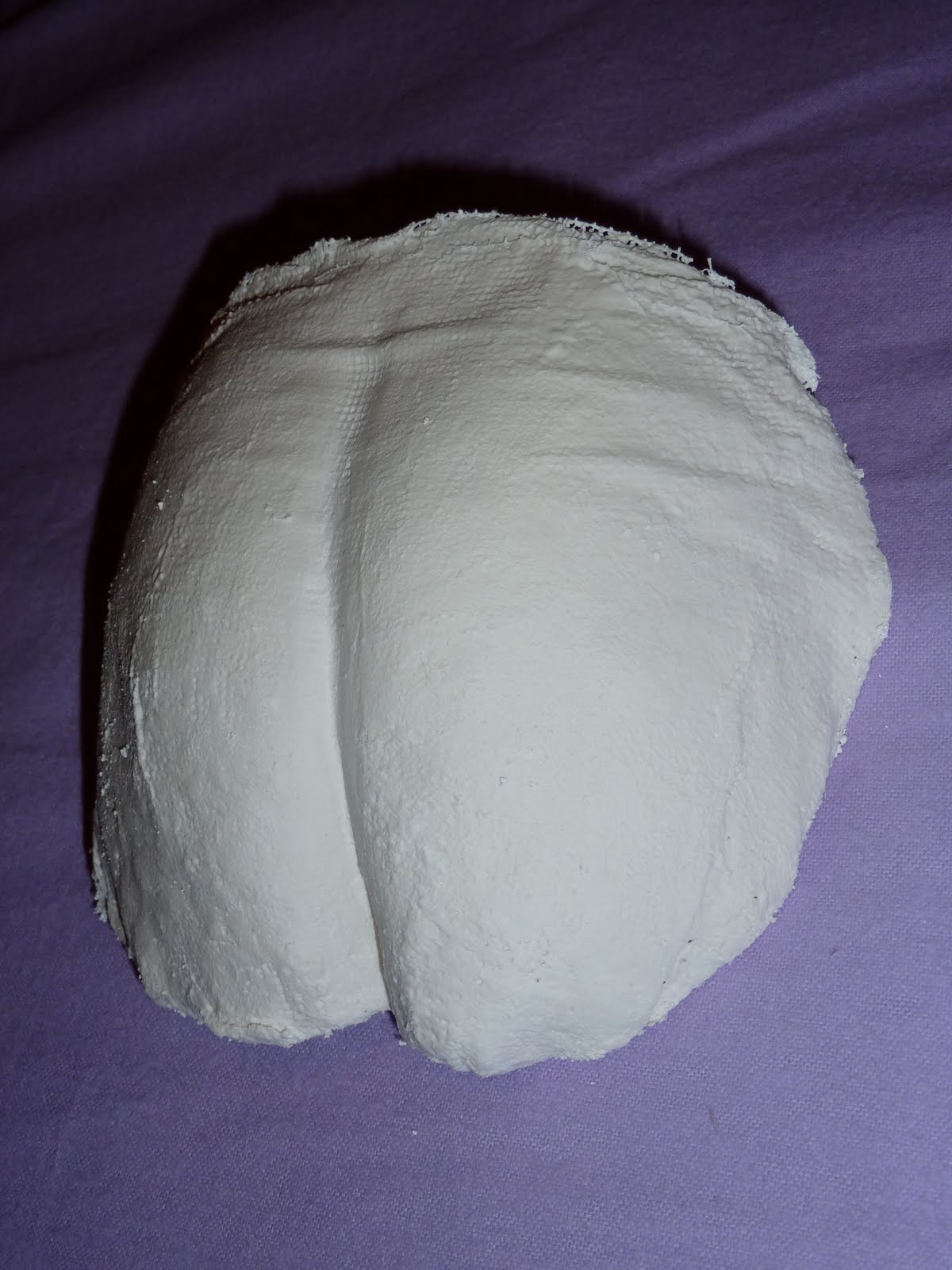 [P1000448.JPG]