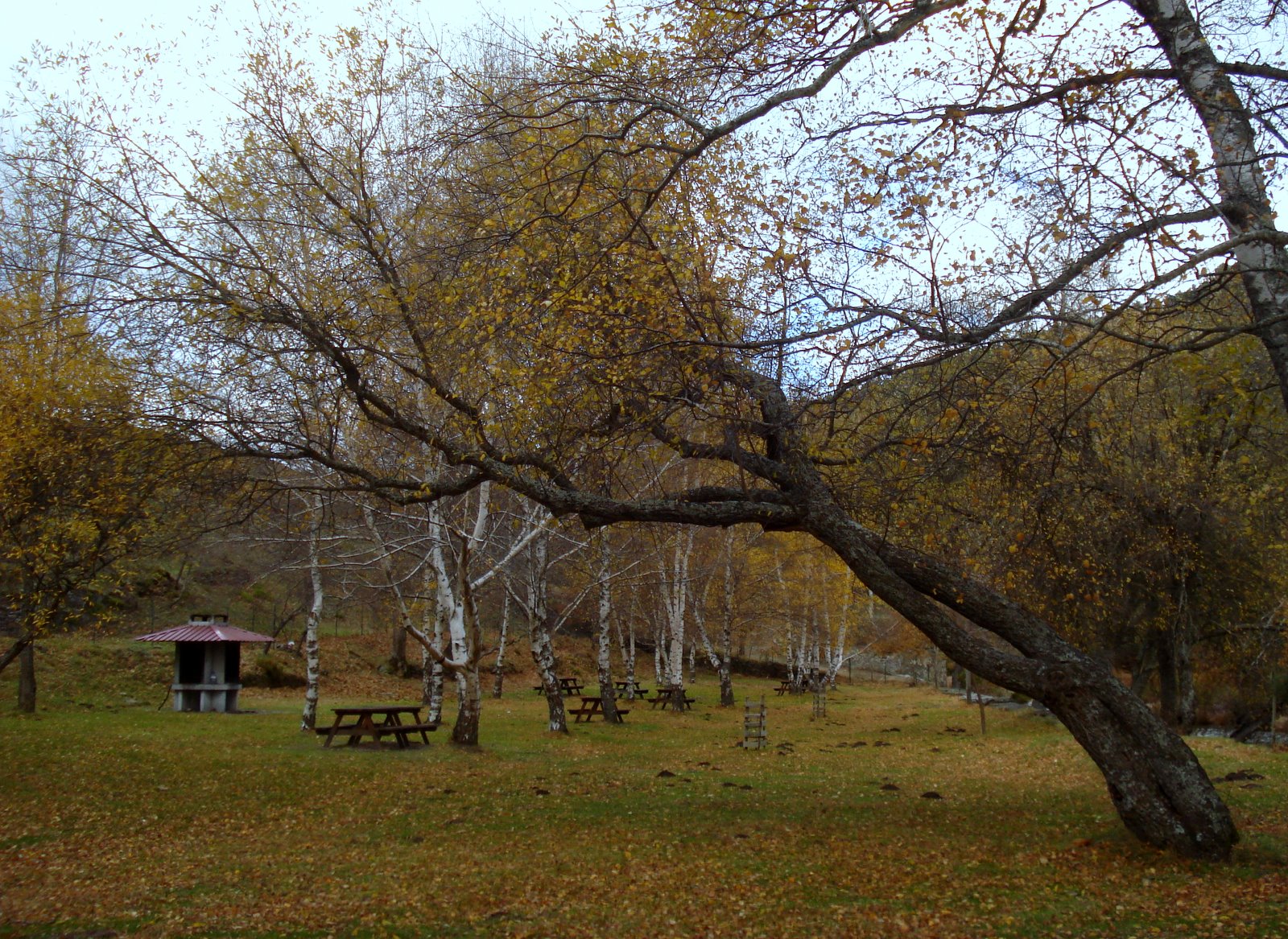 [DSC00415.JPG]