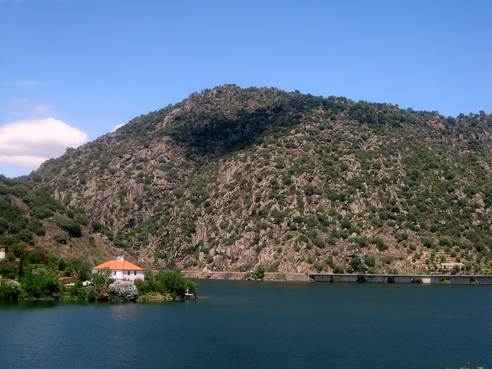 [IMG_3586.JPG]