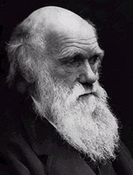 Frases de Darwin