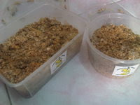 waxworms