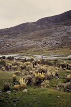 paisaje3