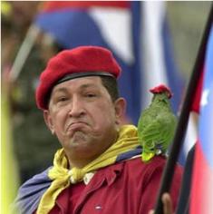 [chavez-parrot.jpg]