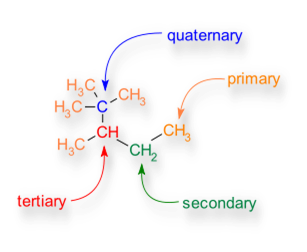 cadenas carbonadas longitud fatima unidad 2 quimica organica cadenas carbonadas longitud fatima unidad 2 quimica organica