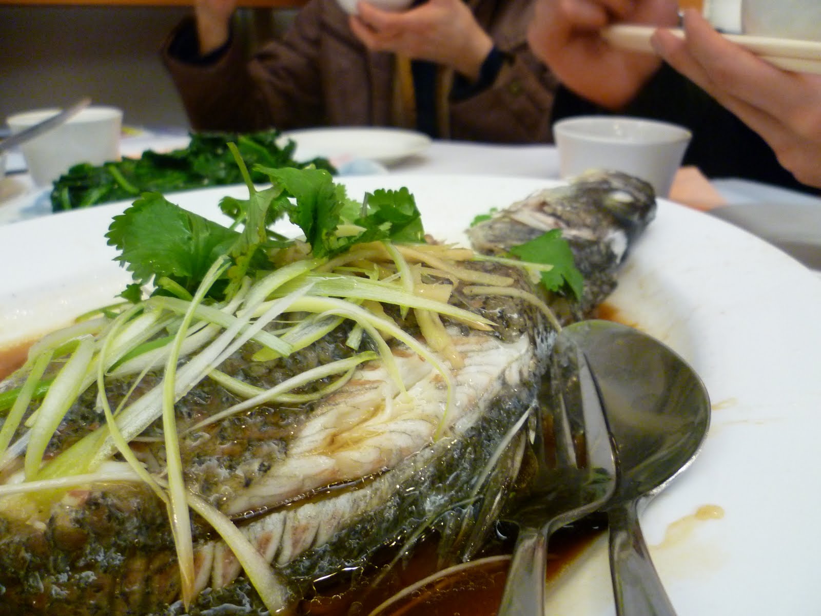 Asian+bowl+forest+hills
