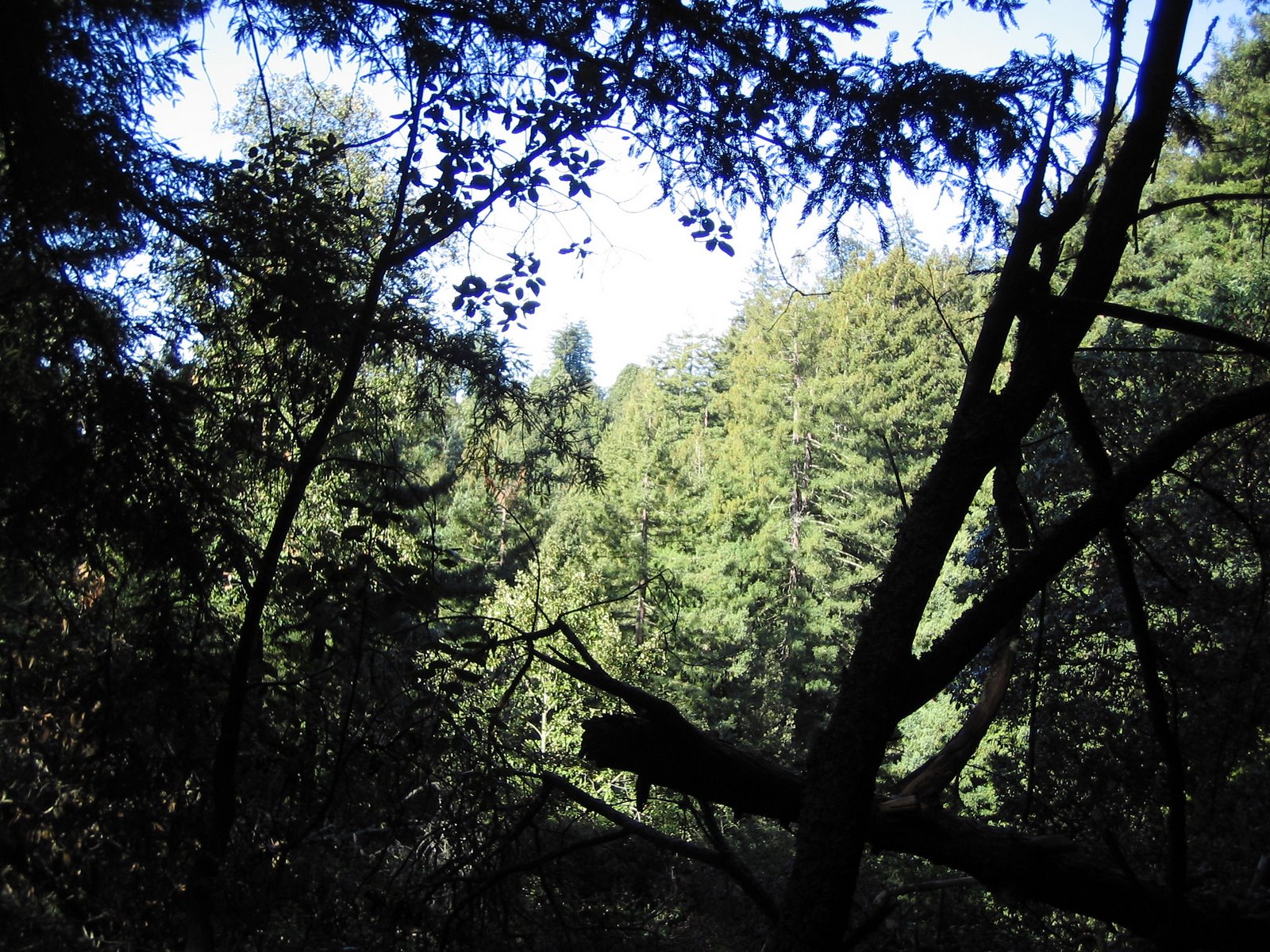 [IMG_1846.JPG]