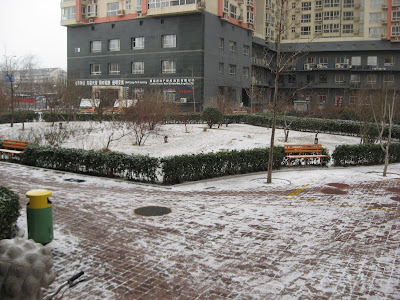 snow in TB's courtyard