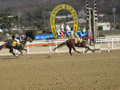action shot at Seoul Race Park