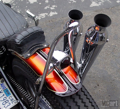 Bobber Sissy Bar