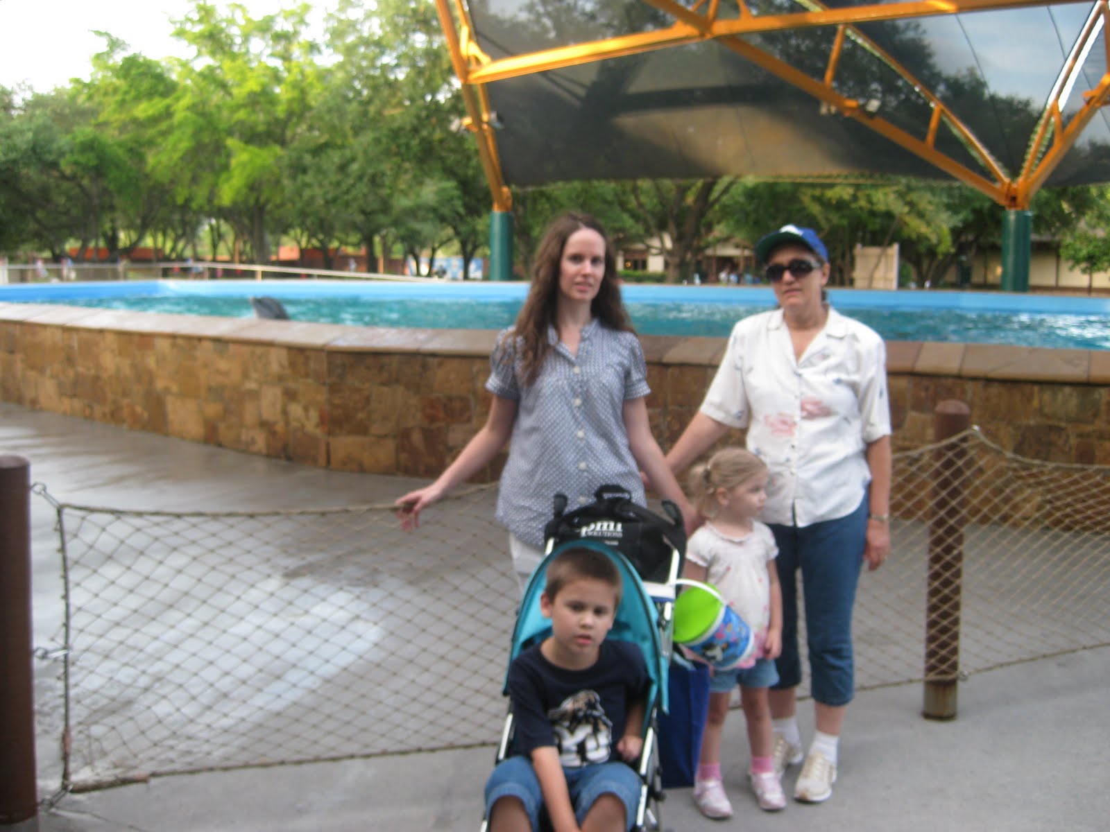 http://2.bp.blogspot.com/_uX-j7o_r3d0/TEp5YH_dreI/AAAAAAAAAMo/aW2KgGhT0A0/s1600/dolphin.jpg