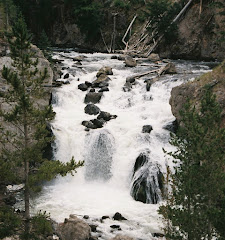 Yellowstone Waterfall