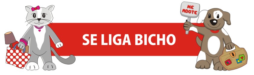 Se liga bicho