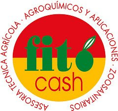 Fito Cash