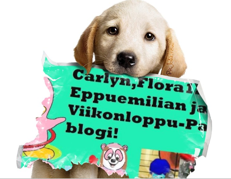 Carlyn oma blogi