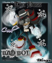 Shadow The Bad Boy!!!!!