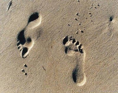 [Trocas+e+baldrocas.jpg]