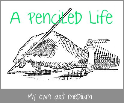 A penciled life