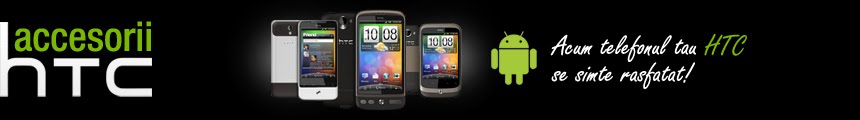 Accesorii HTC