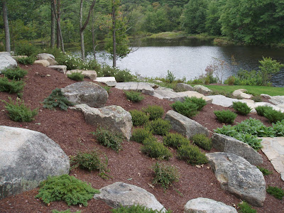 A Year In The Garden: Rock the Slope